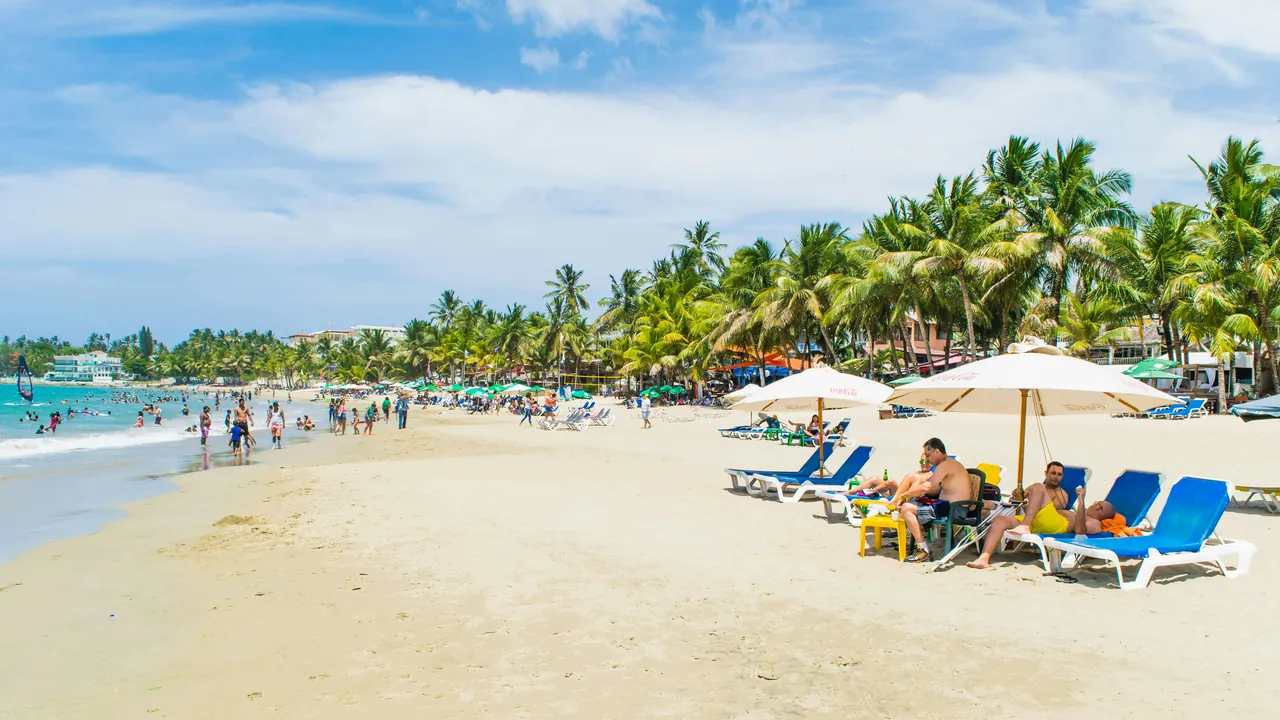 Loungers and umbrellas under palms on a busy Caribbean beach