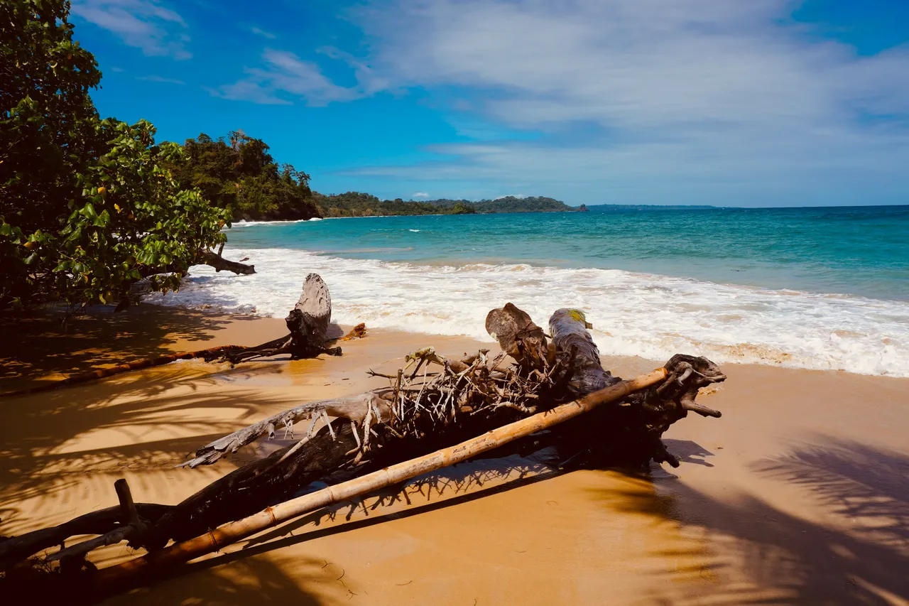 Driftwood on a wide beach in Bocas del Toro with surf breaking beyond