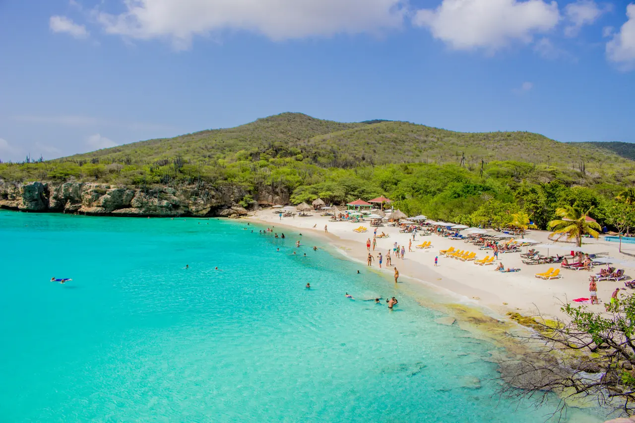 A Bonaire beach backed by a green hillside, with swimmers in shallow turquoise water