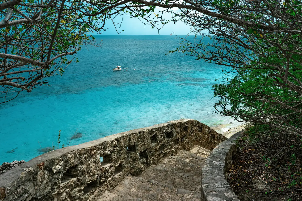 Clear turquoise water off a rocky Bonaire shoreline, framed by overhanging trees
