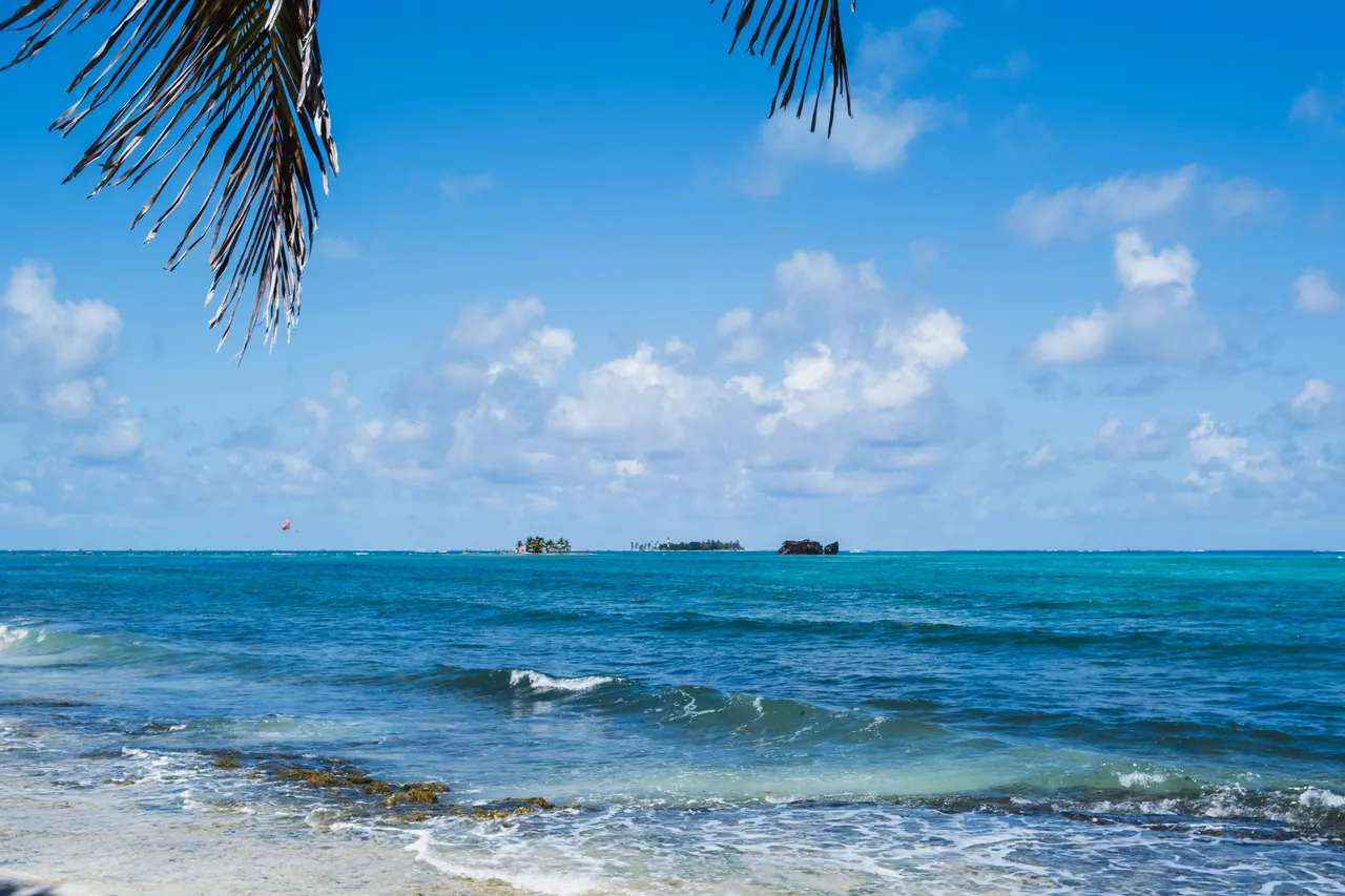 The Caribbean seen through palm fronds from the coast near Cartagena