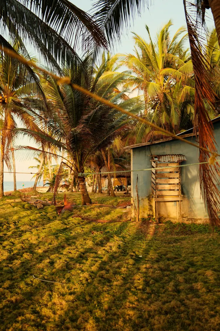 Palms and a low cabin at golden hour on the Corn Islands