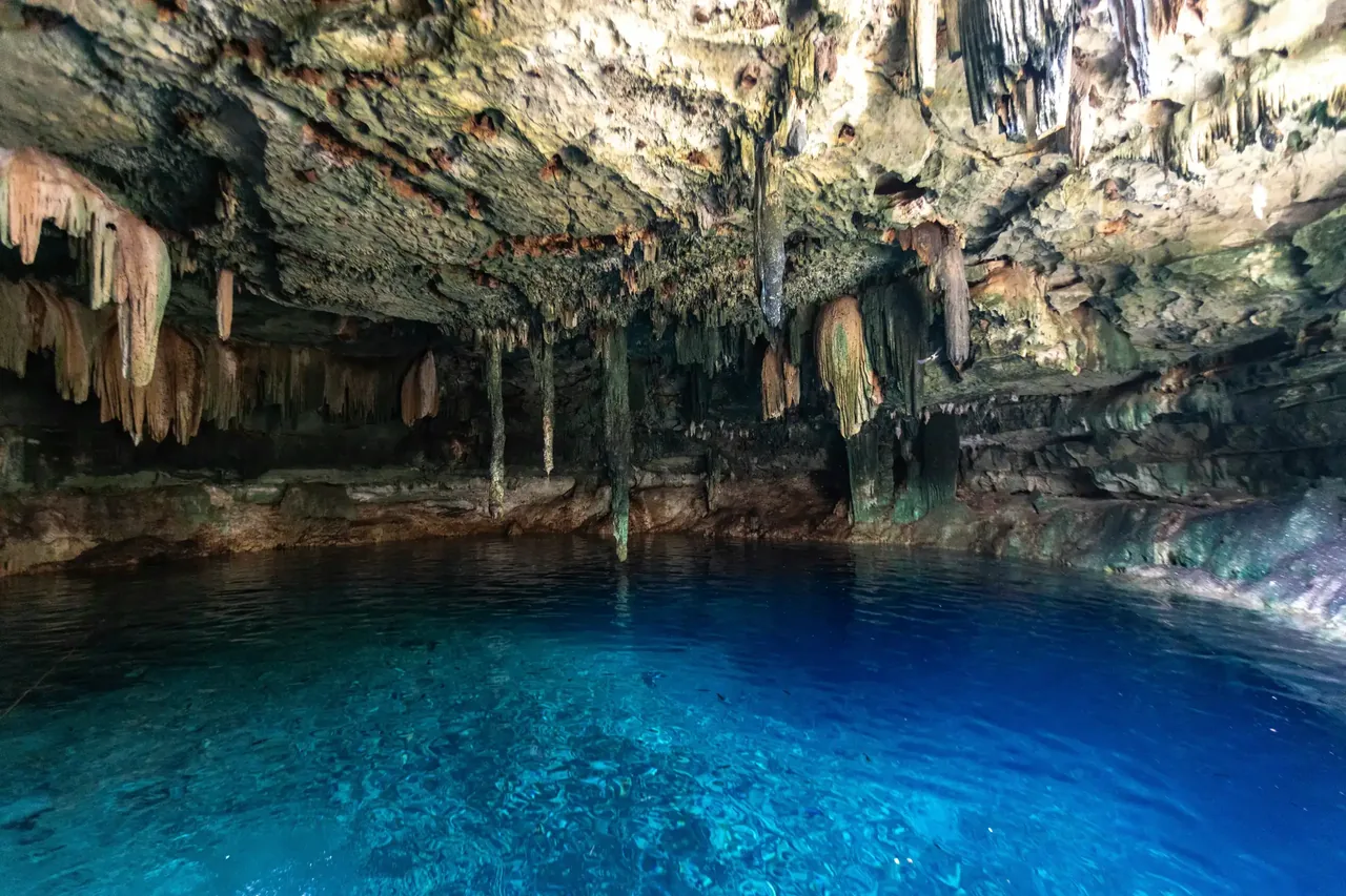 A cenote near Mérida, deep blue water under a cave roof hung with stalactites