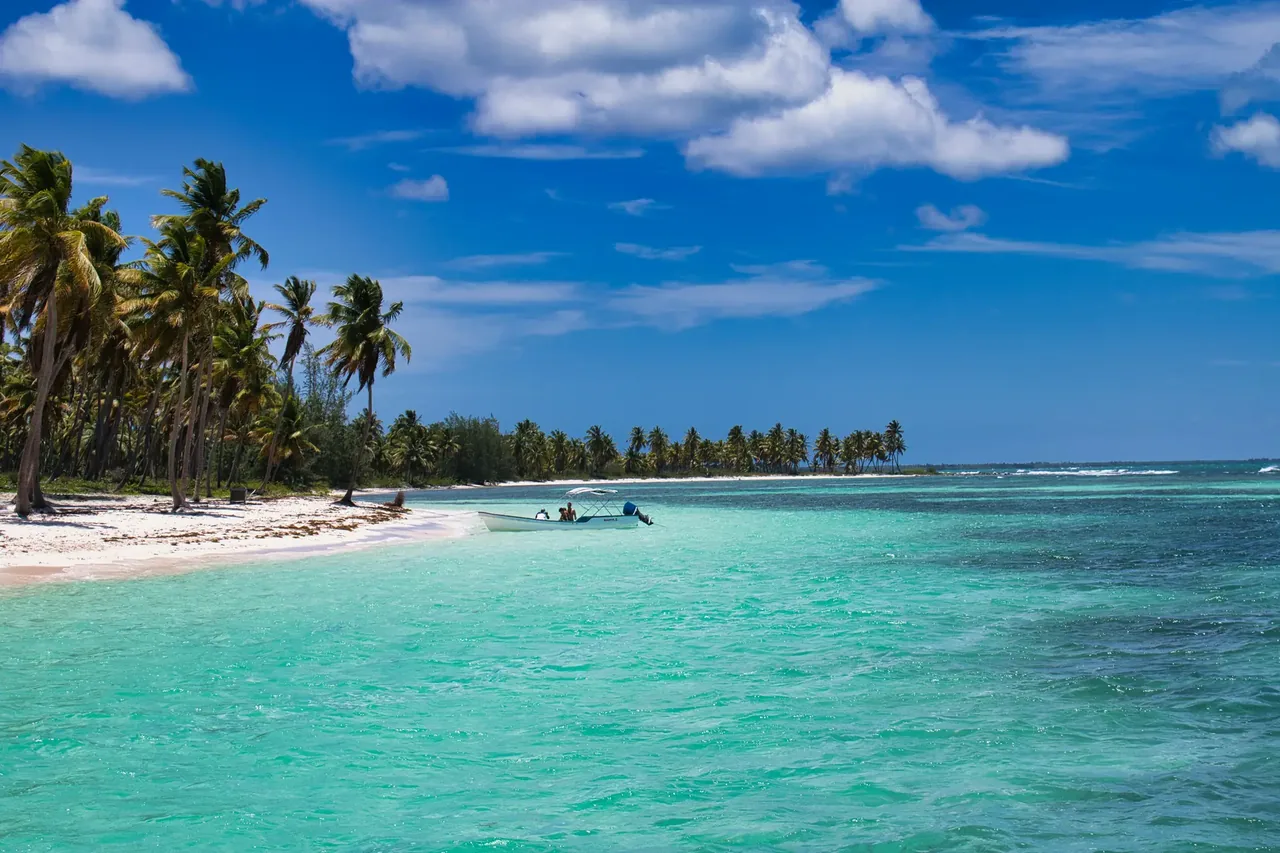 A wide Punta Cana beach with palms along the shoreline and clear green shallows