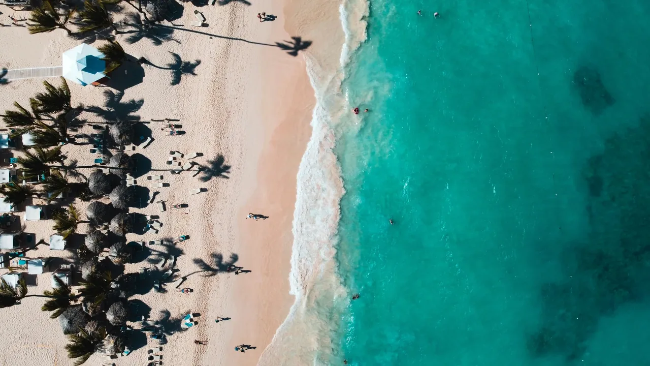 Rows of parasols and loungers on a Punta Cana beach seen from directly above, beside turquoise water