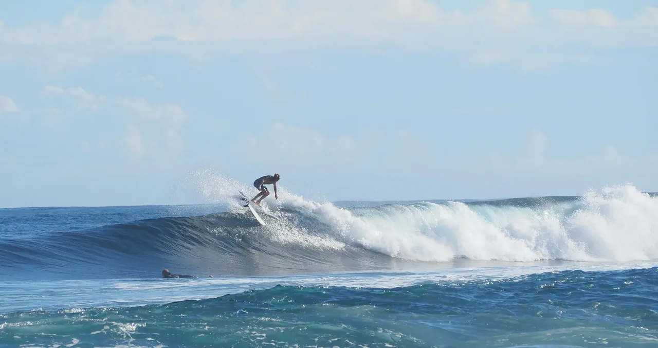 A surfer riding the face of a breaking wave off Rincón, Puerto Rico