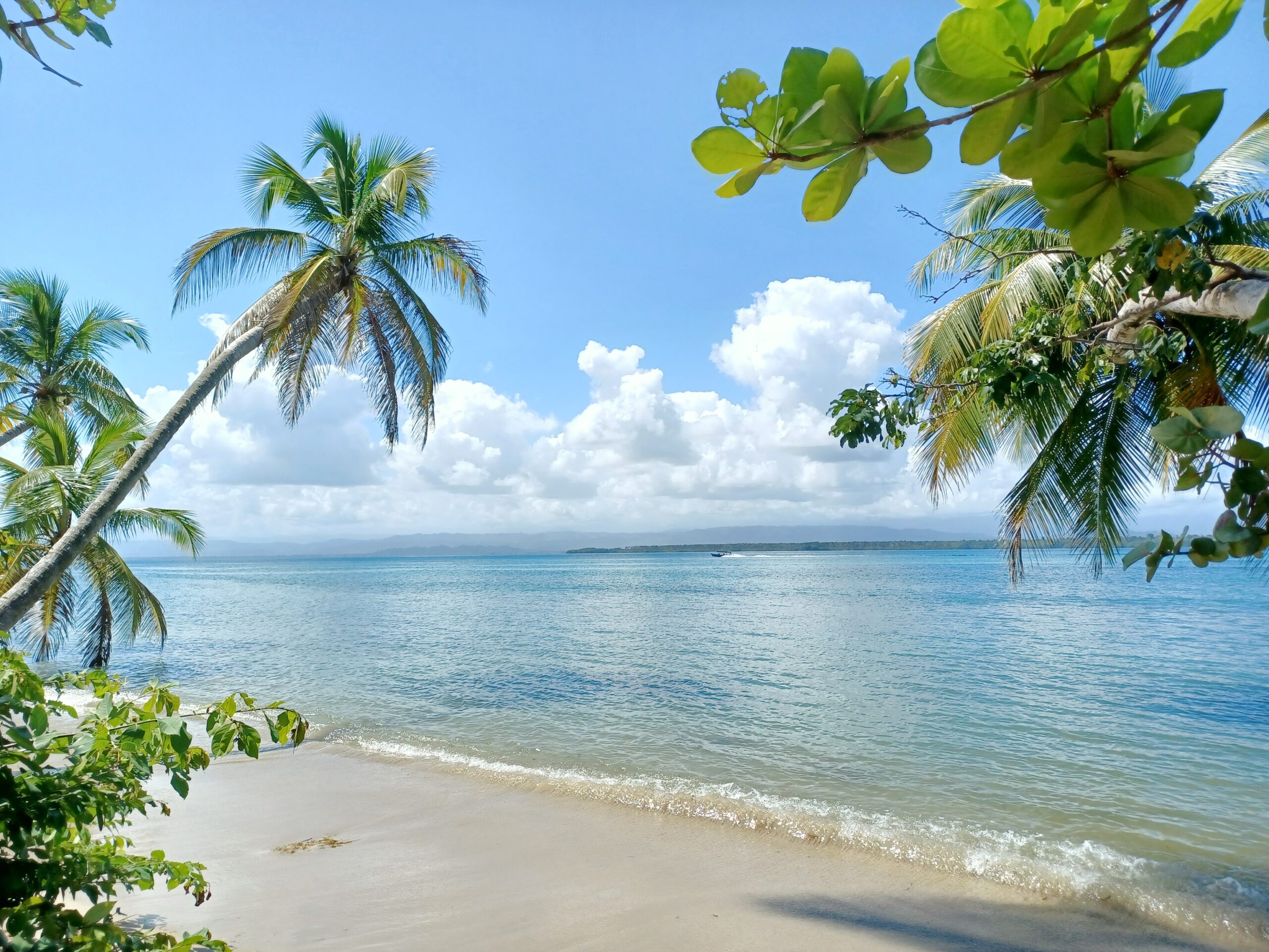 Solo Female Travel Guide to Bocas del Toro, Panama (January)