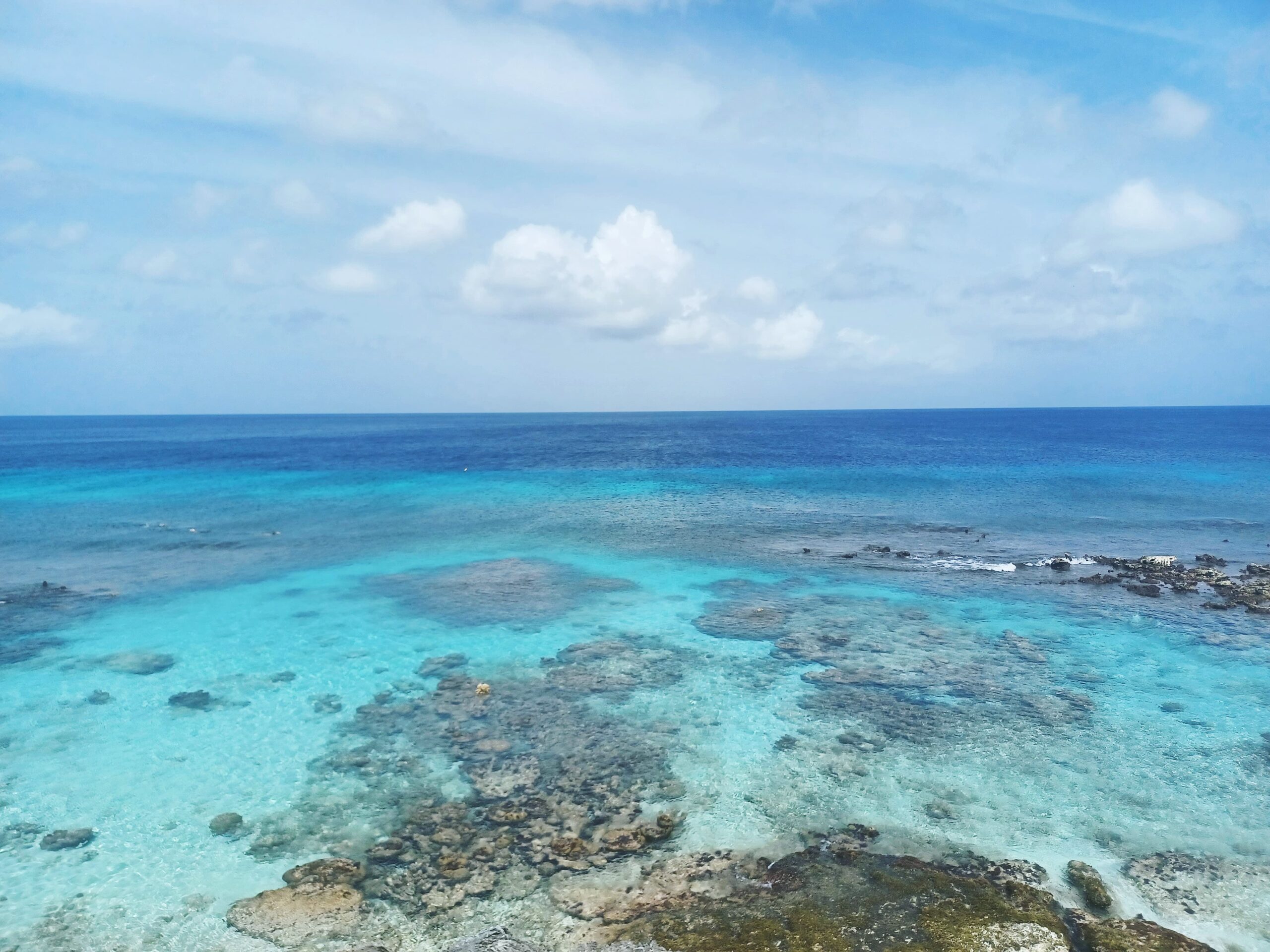 Solo Female Travel Guide to Bonaire: Delfins Beach Resort & Beyond