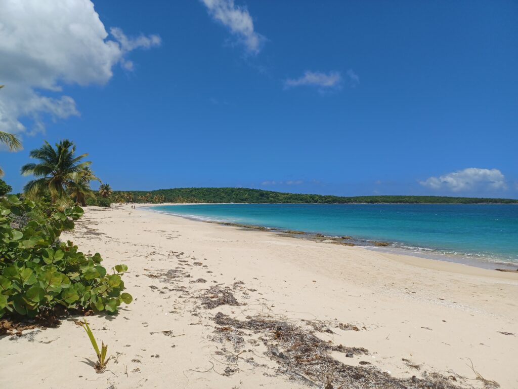 Vieques